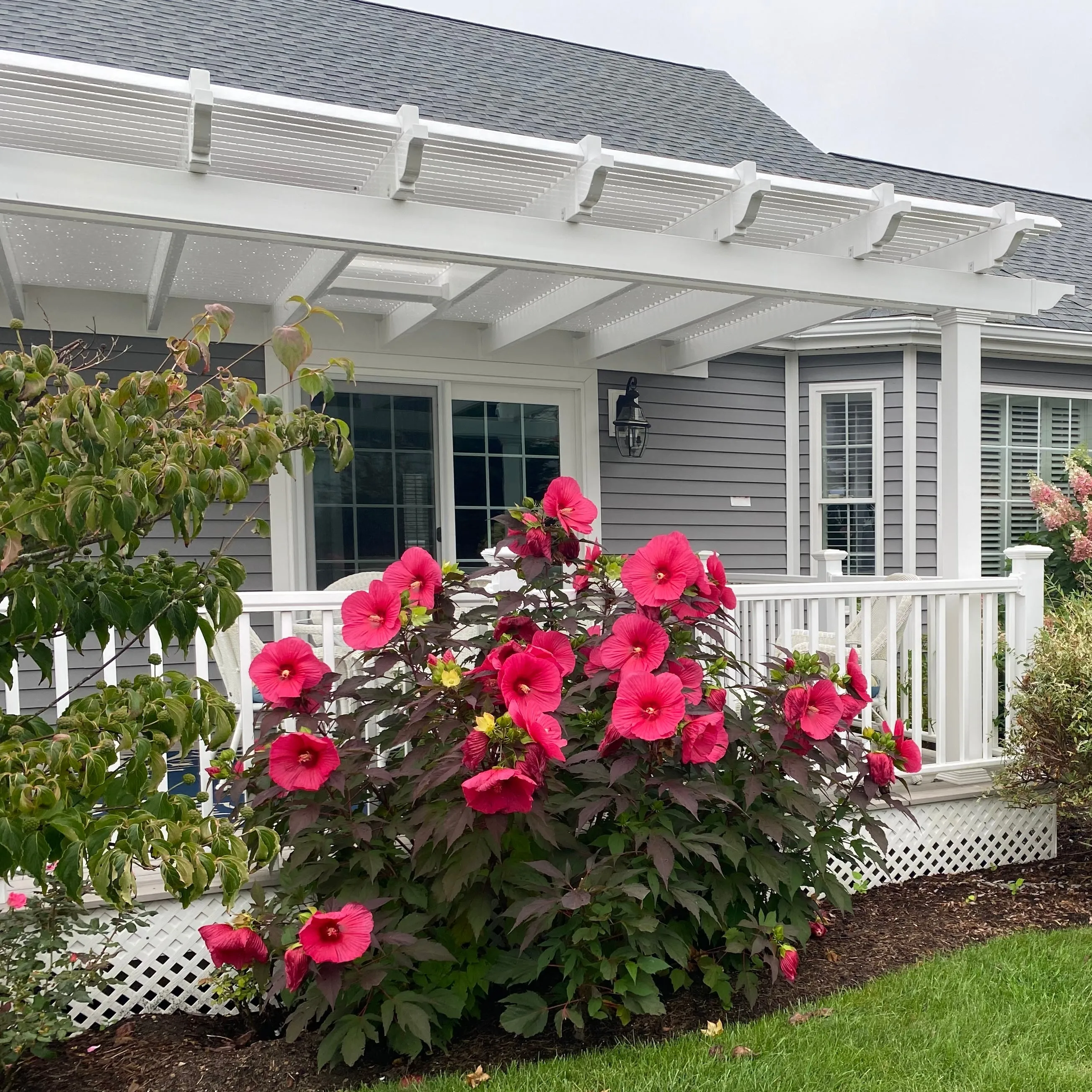 10' x 13' Pergola Built Off House - Made in USA