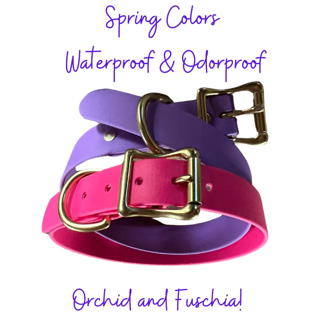 Biothane Waterproof Dog Collar, Fuschia w/Shiny Solid Brass Rustproof Hardware