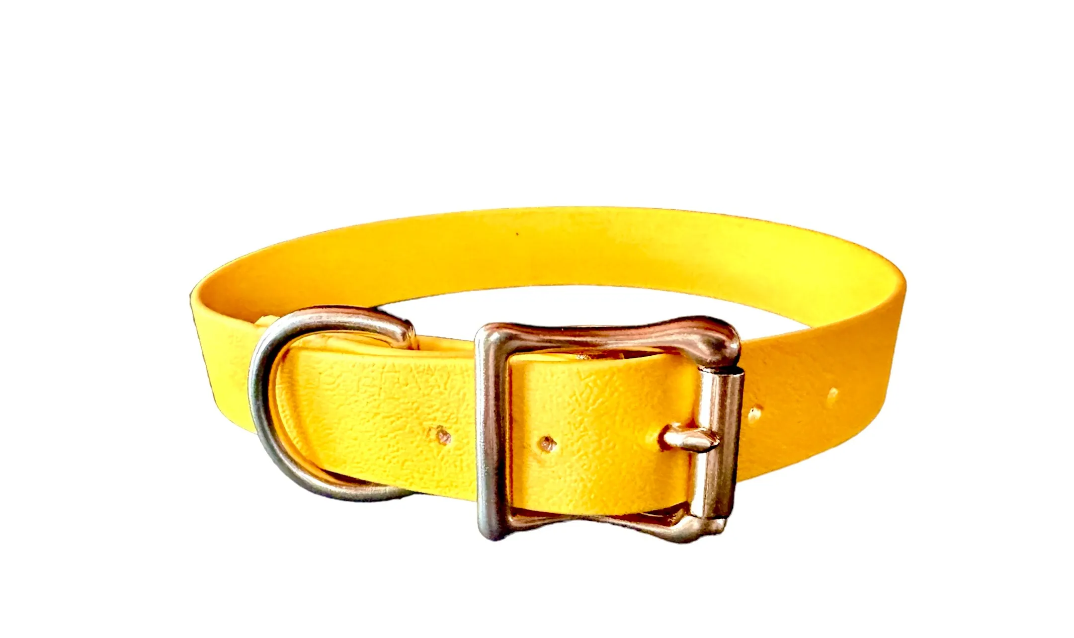 Biothane Waterproof Dog Collar, Sporty Sunshine Yellow with Solid Brass Rustproof Hardware