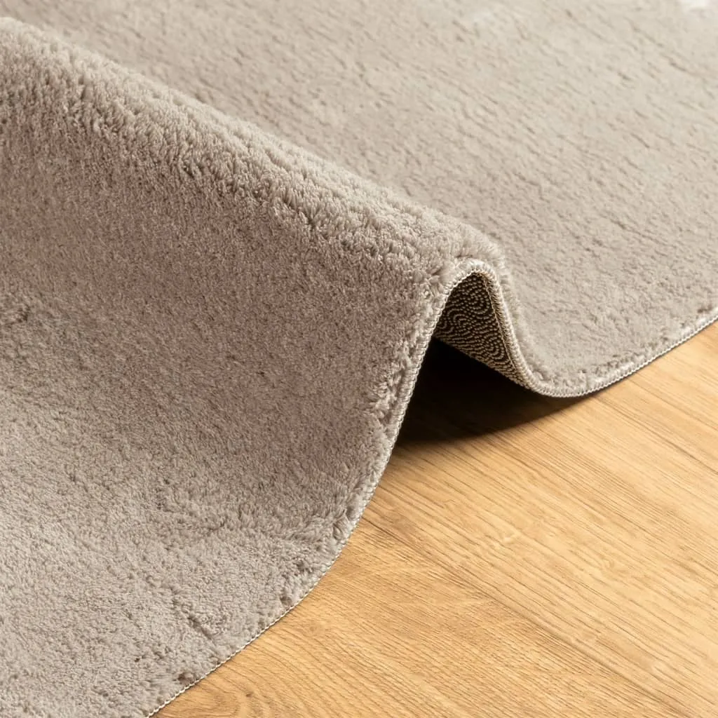 Rug HUARTE Short Pile Soft and Washable Sand 200x280 cm