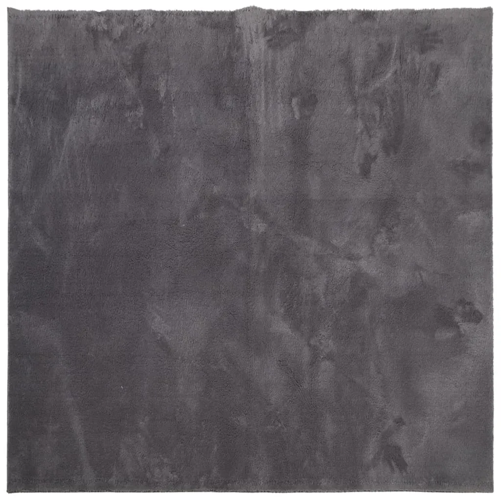 Rug Short Pile Soft and Washable Anthracite 160x160 cm