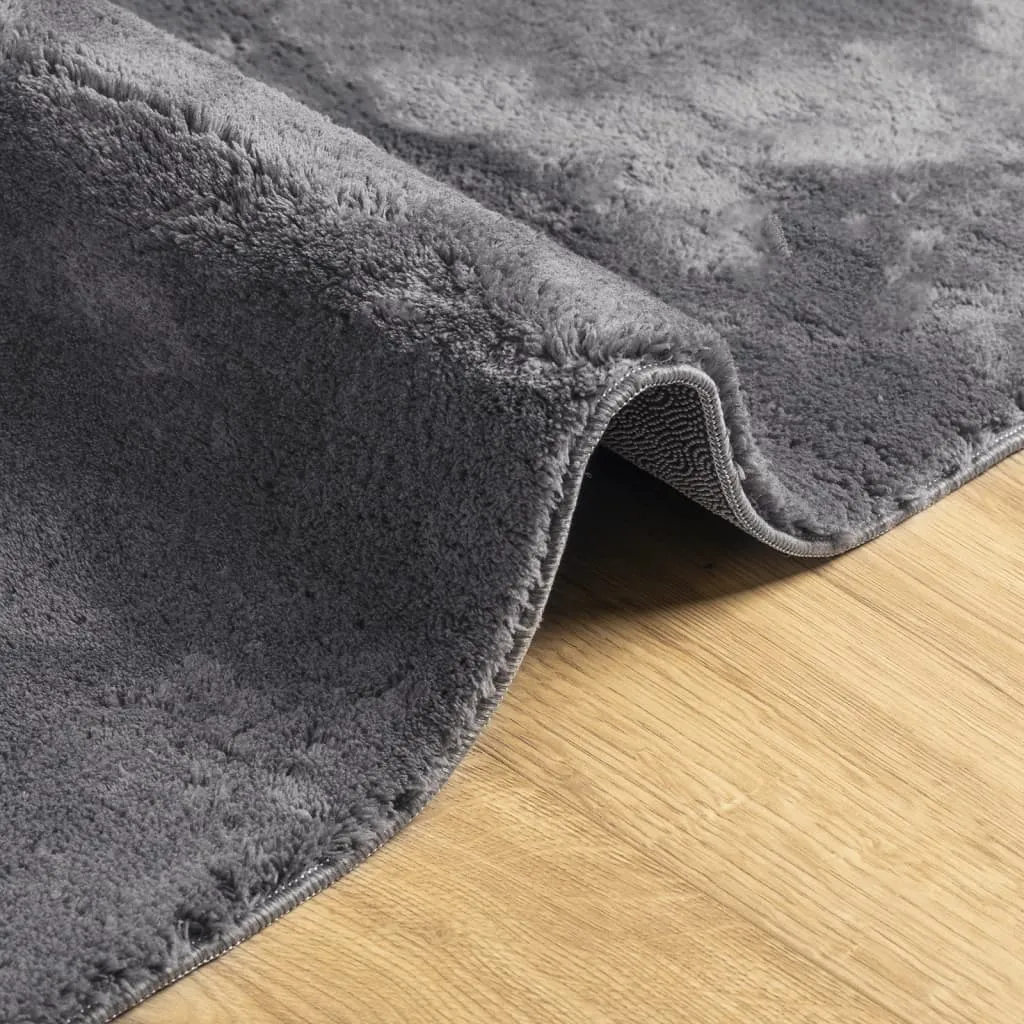 Rug Short Pile Soft and Washable Anthracite 160x160 cm