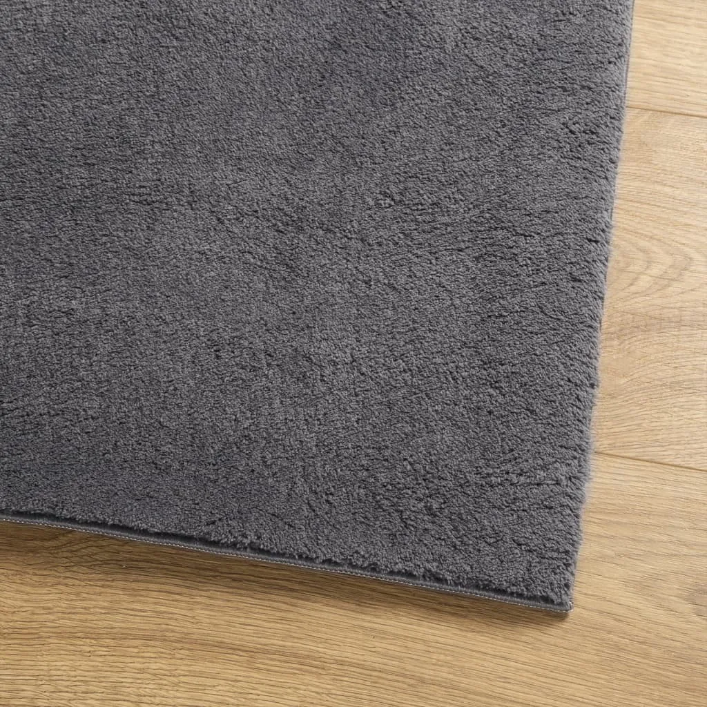 Rug Short Pile Soft and Washable Anthracite 160x160 cm